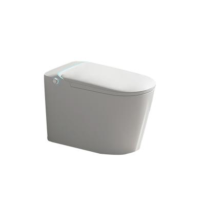 智能馬桶 W21020C